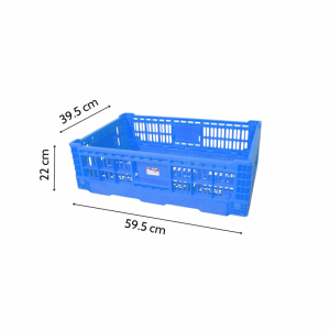 Sóng Gấp 22